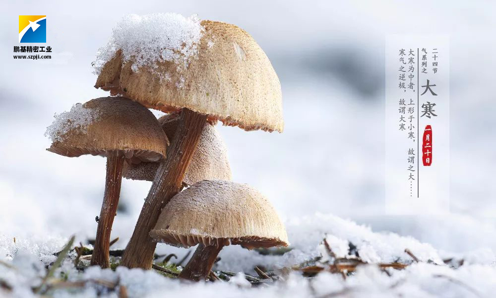 大寒，唯美冰雪迎新春！
